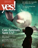 Yes! Magazine